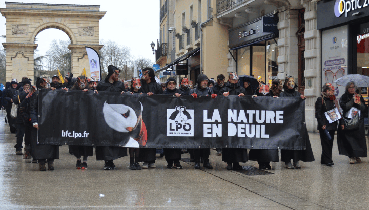 La Nature en deuil à Dijon : une marche funéraire pour alerter sur la destruction de la biodiversité